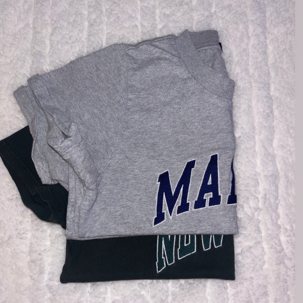 Brandy Melville/ John Galt baby tee x2